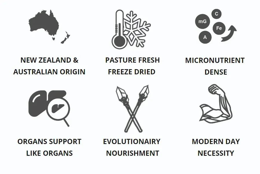 Paleo Beef Brain - Grassfed - 180 capsules - Uno Vita AS