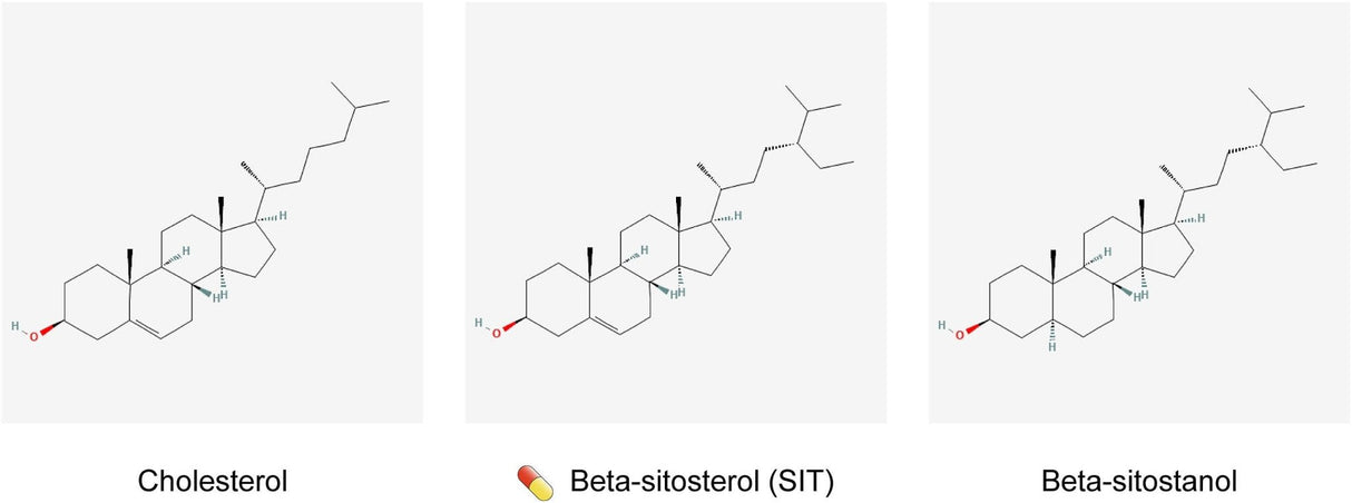 Växtsteroler - Beta - Sitosterol - Uno Vita AS