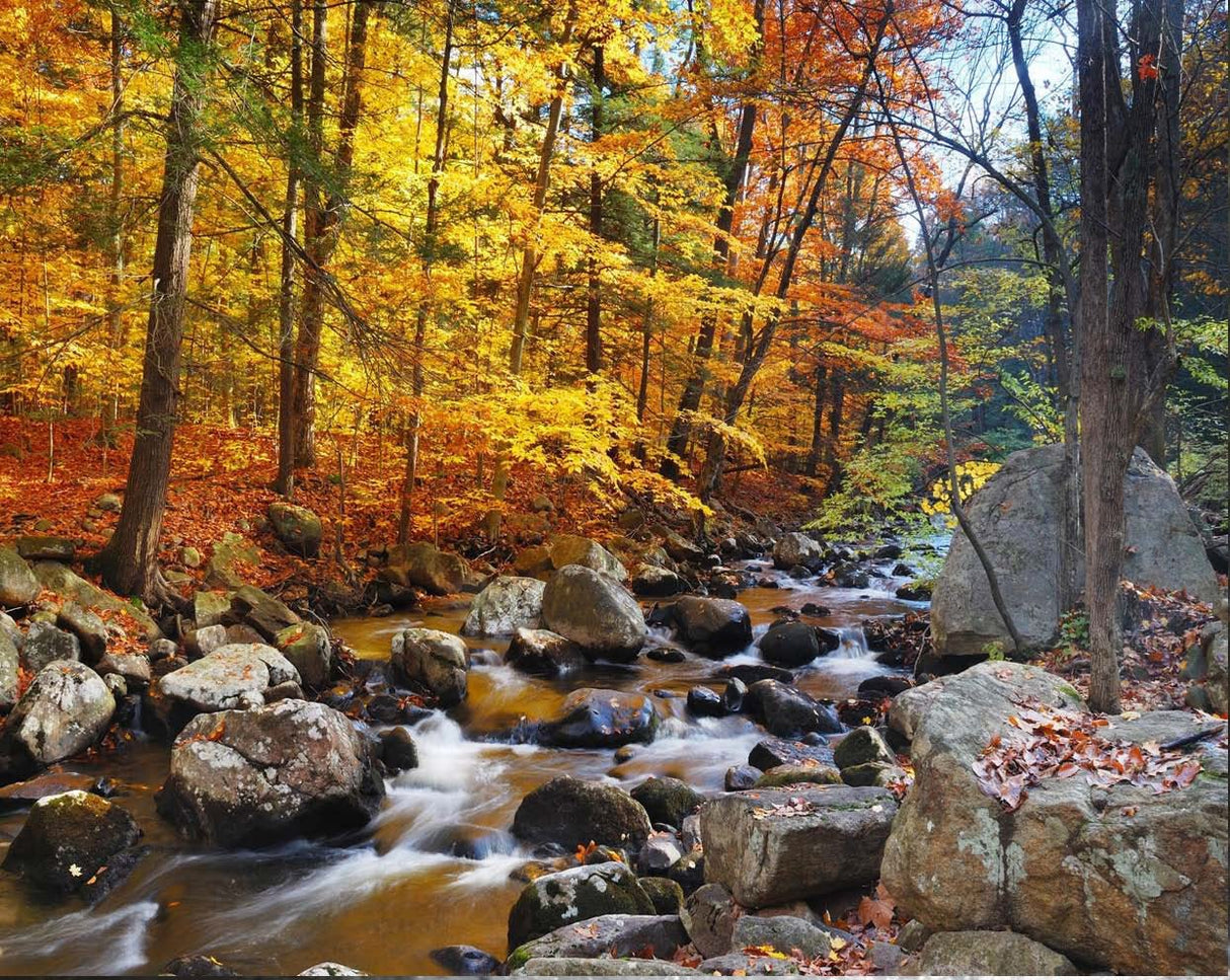 River of Life Vortex Water Revitalizer (1 tum) – Hela huset - Uno Vita AS