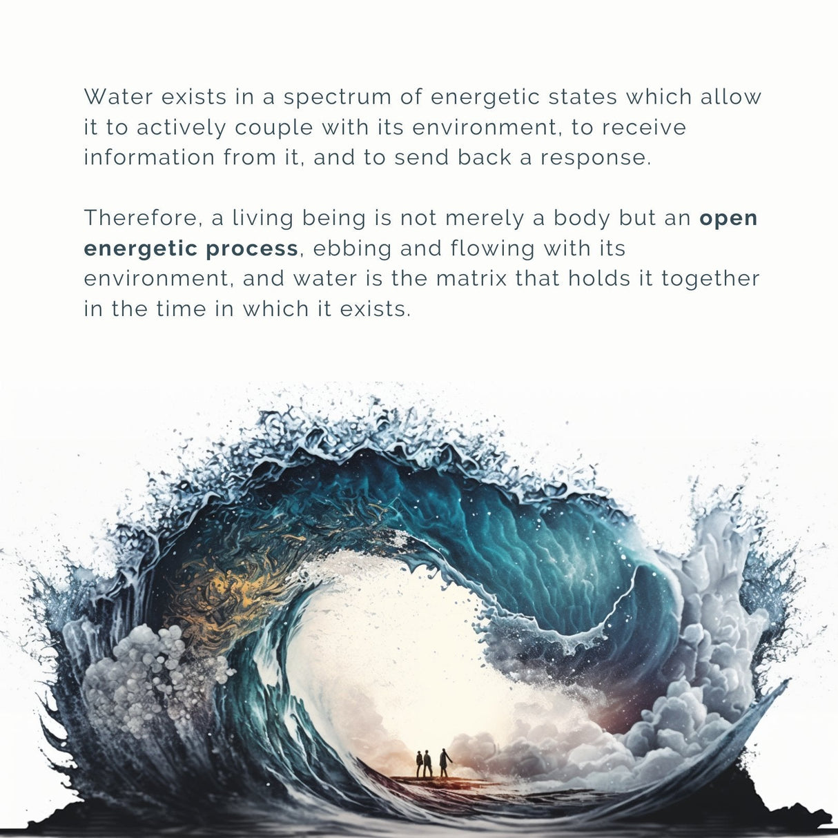 Der Analemma-Zauberstab – Uno Vita AS