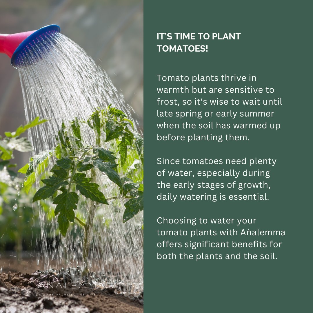 Der Analemma-Zauberstab – Uno Vita AS