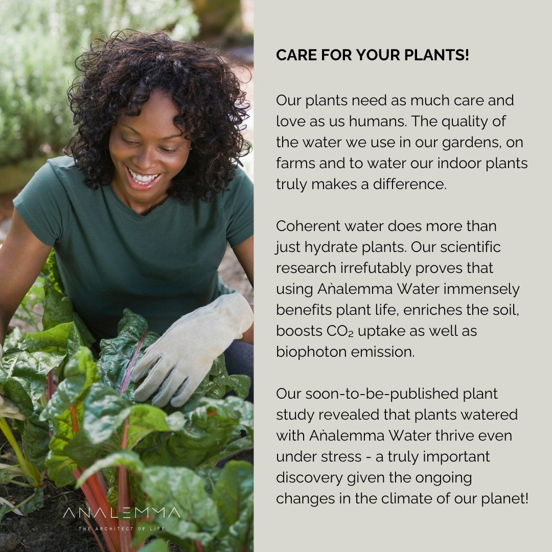 Der Analemma-Zauberstab – Uno Vita AS