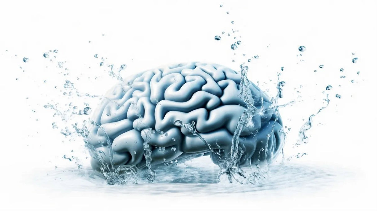 Analemma Wand (lyx valnöt) - Uno Vita AS