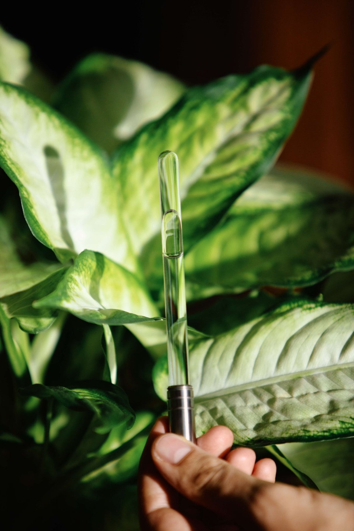 Analemma Wand (lyx valnöt) - Uno Vita AS