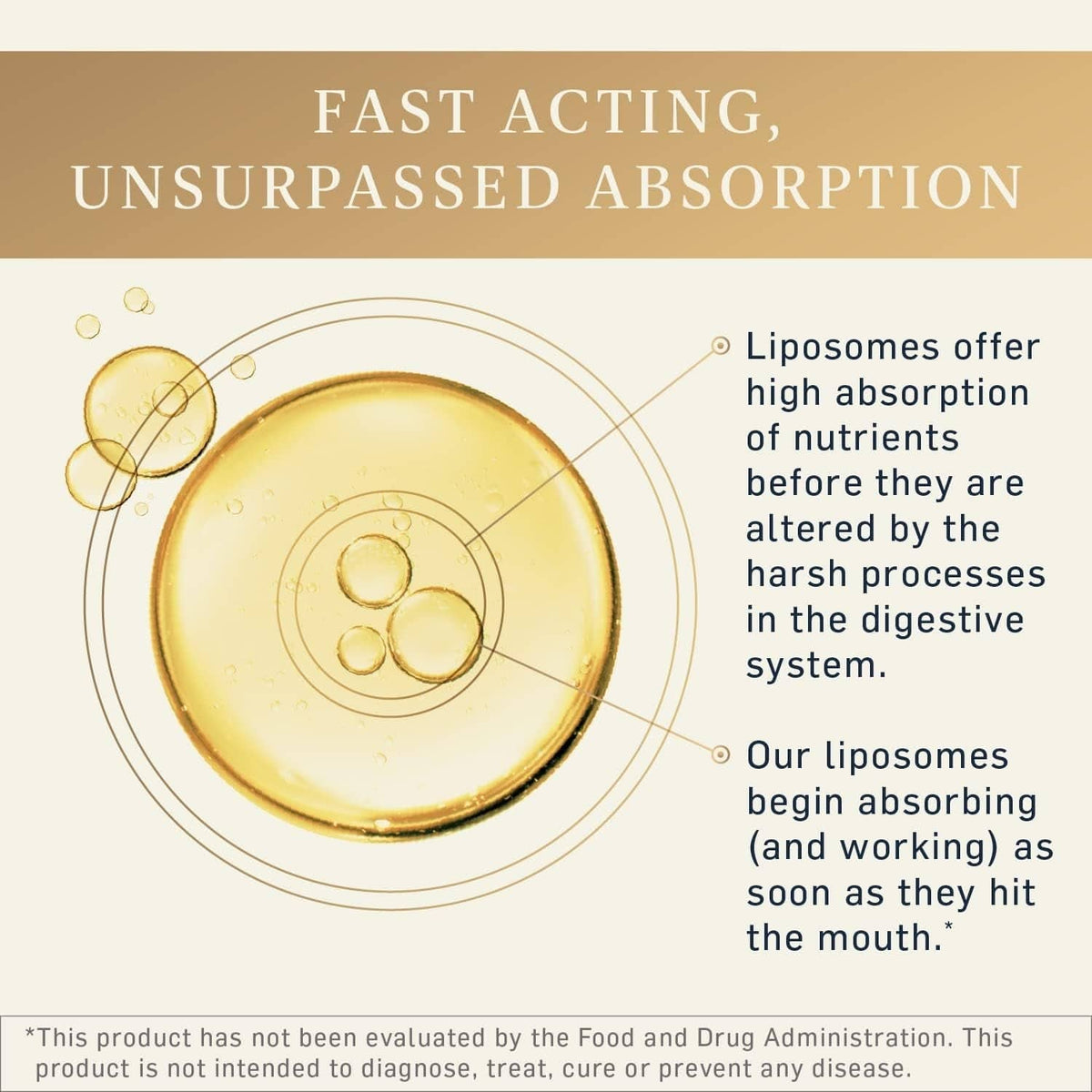 The One - suplemento energético liposomal para las mitocondrias - Uno Vita AS