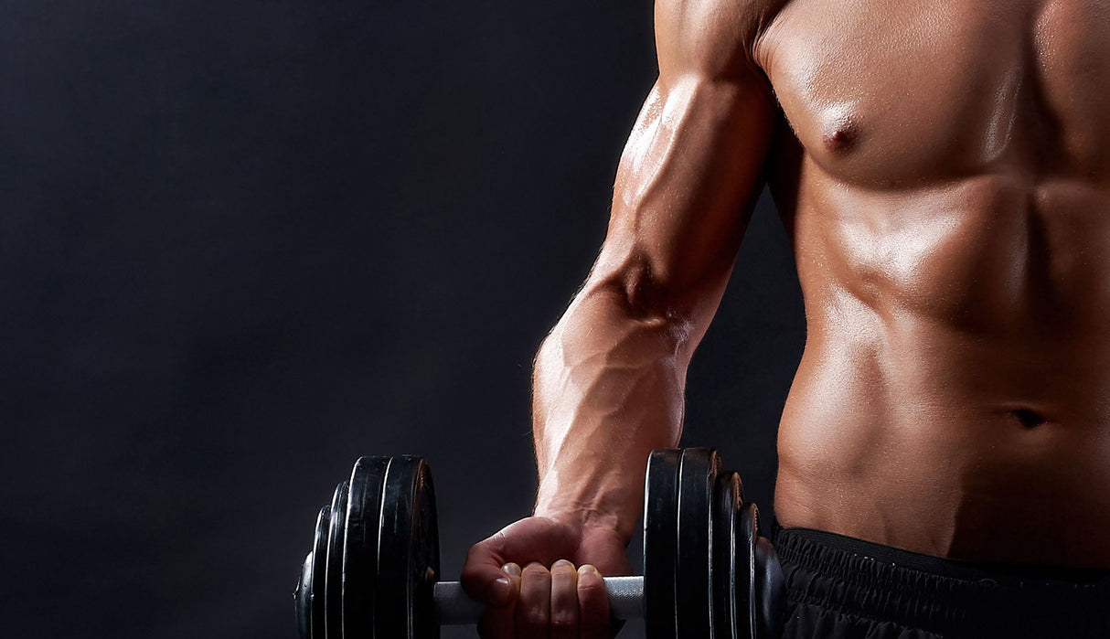 Uno Vita - Syretryck - kammare (HBOT - horisontell - 1,5 ATA) - Uno Vita AS