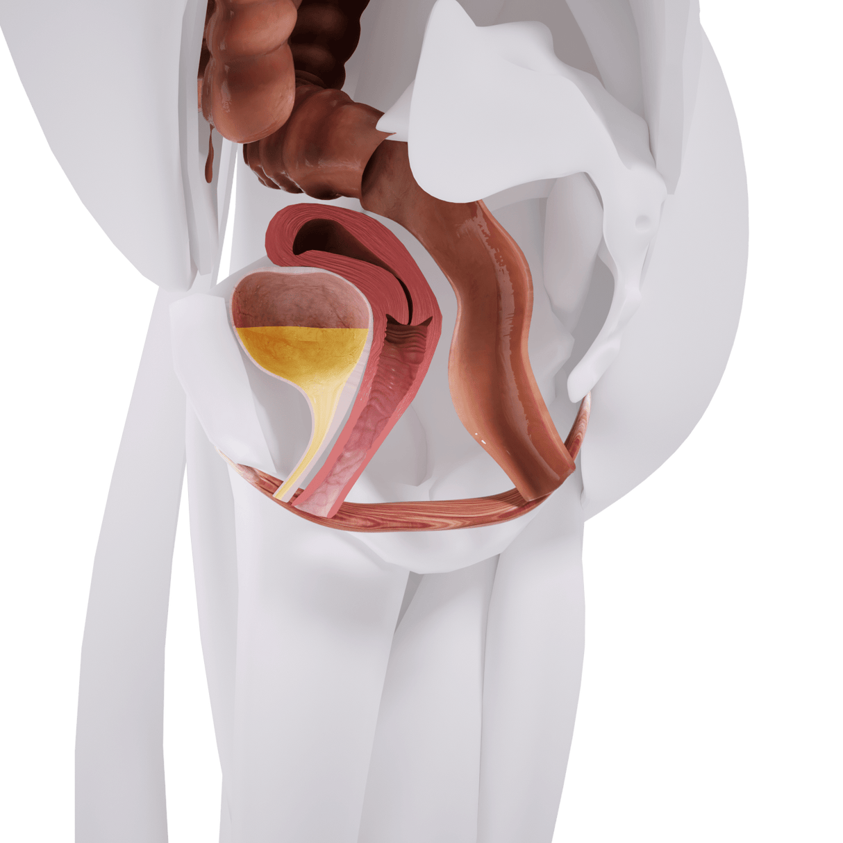 Uno Vitas EM-stol Mini bäckenbottenstimulering - Uno Vita AS