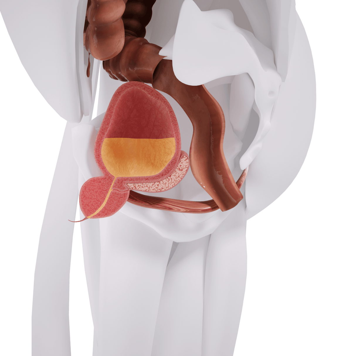 Uno Vitas EM-stol Mini bäckenbottenstimulering - Uno Vita AS