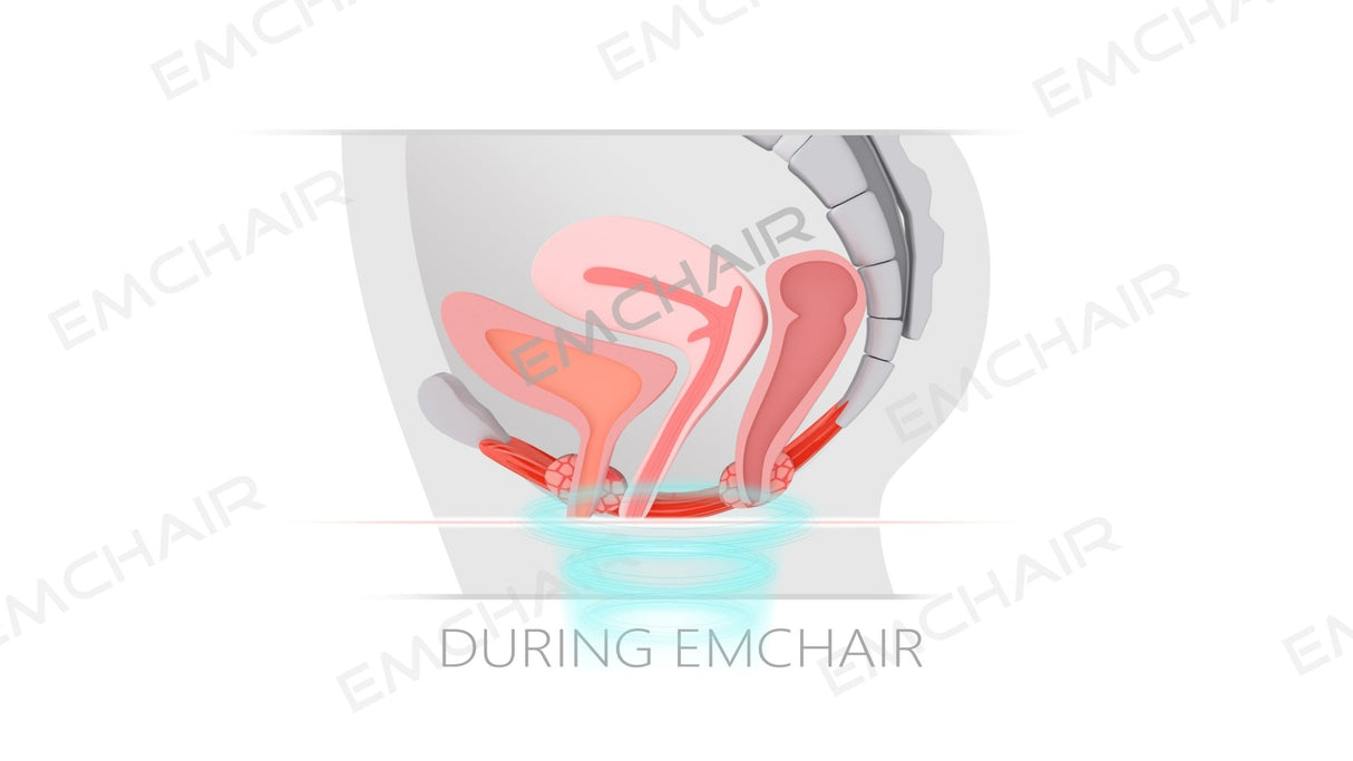 Estimulación del suelo pélvico EM Chair Pro de Uno Vita - Uno Vita AS