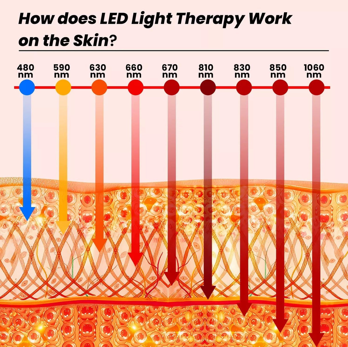 Uno Vita’s RLPRO600Max - X2 – Innovative Red Light Therapy (9 waves – music – Luci Phi) - Uno Vita AS