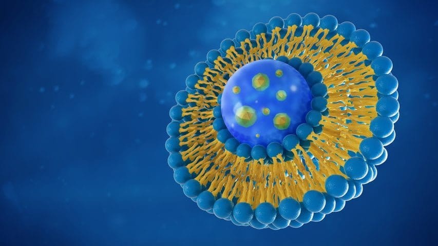 Vitamine C Pro Liposomale - Uno Vita AS