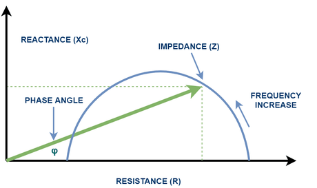 Fasevinkel: En dypere forståelse av kroppens elektriske helse og fremtidsprognose - Uno Vita AS