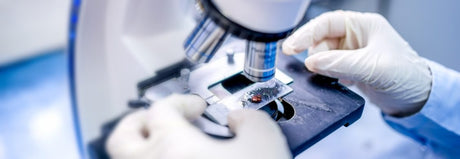 Pranan forskning og informasjon om EMF