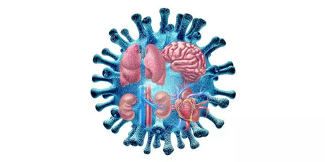 Protokoll: SARS-CoV-2 virus (Covid-19), lang Covid og bivirkninger - Uno Vita AS