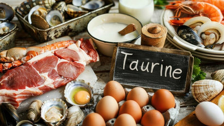 Taurin: En omfattende guide til helsefordeler og bruksområder - Uno Vita AS