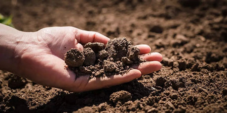 Unotrace huminsyre og fulvinsyre egenskaper og effekter - Uno Vita AS