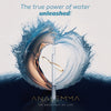 The Analemma Wand