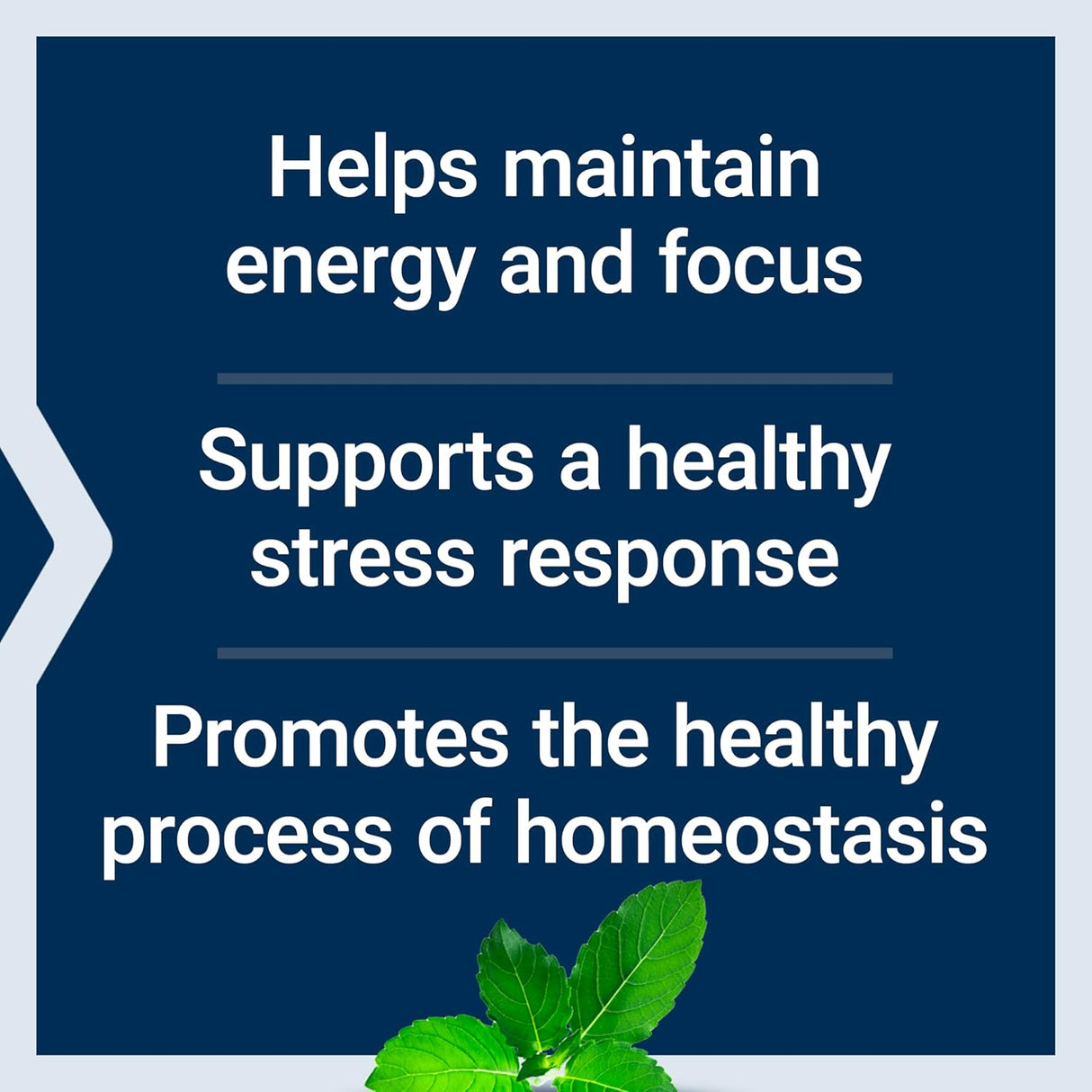 Adrenal energy formula