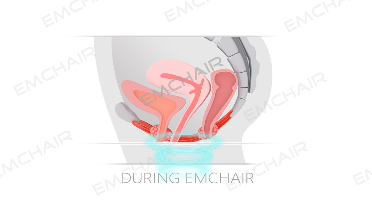 Uno Vita's EM Chair Pro Pelvic Floor Stimulation