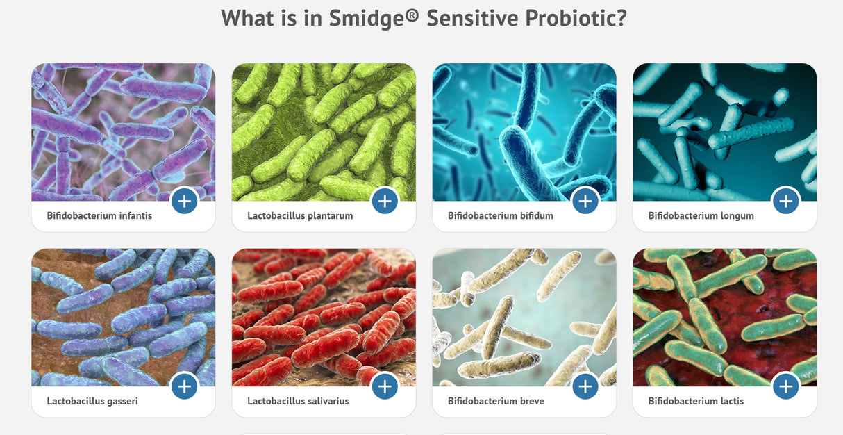 Probióticos sensibles a Smidge ™ (anteriormente Cápsulas Gutpro®)