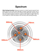 Torcha de linterna Handheld de la Terapia de Luz de Uno Vita (5 longitudes de onda)