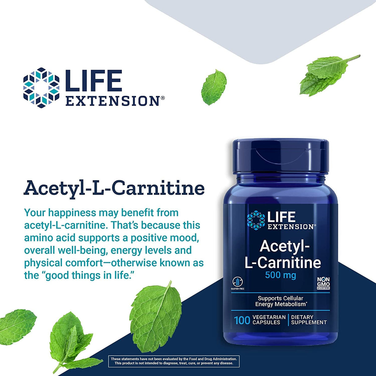 Acetyl-L-Carnitine (500 mg) - Uno Vita AS