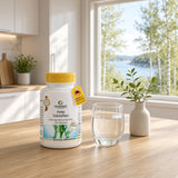 Kelp-tabletter i en hvid beholder med gul låg, placeret på et lyst bord ved vinduet, fyldt med vand og en lille plante.