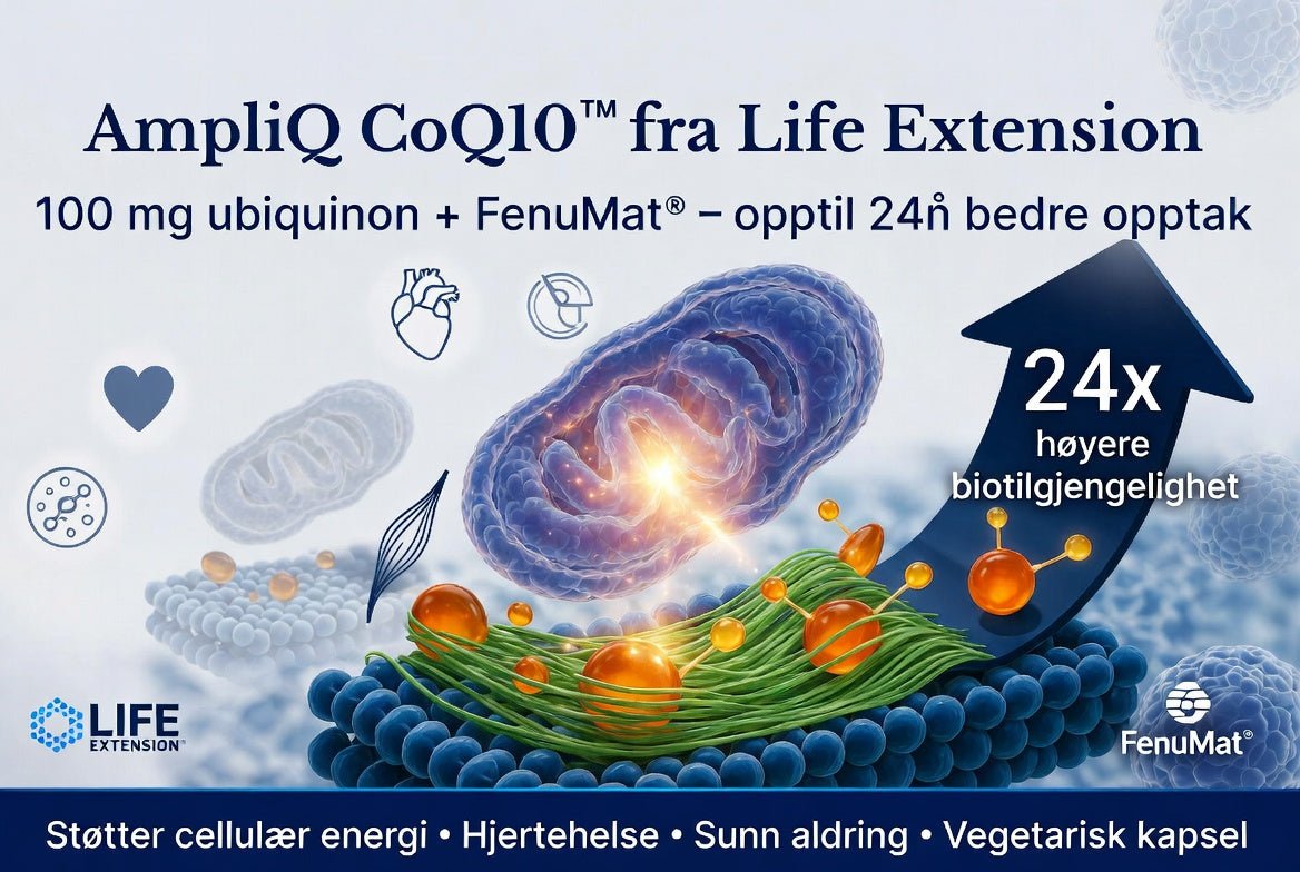 AmpliQ CoQ10™ 100 mg – Next - Generation CoQ10 with FenuMat® Technology, 60 Vegetarian Capsules - Uno Vita AS