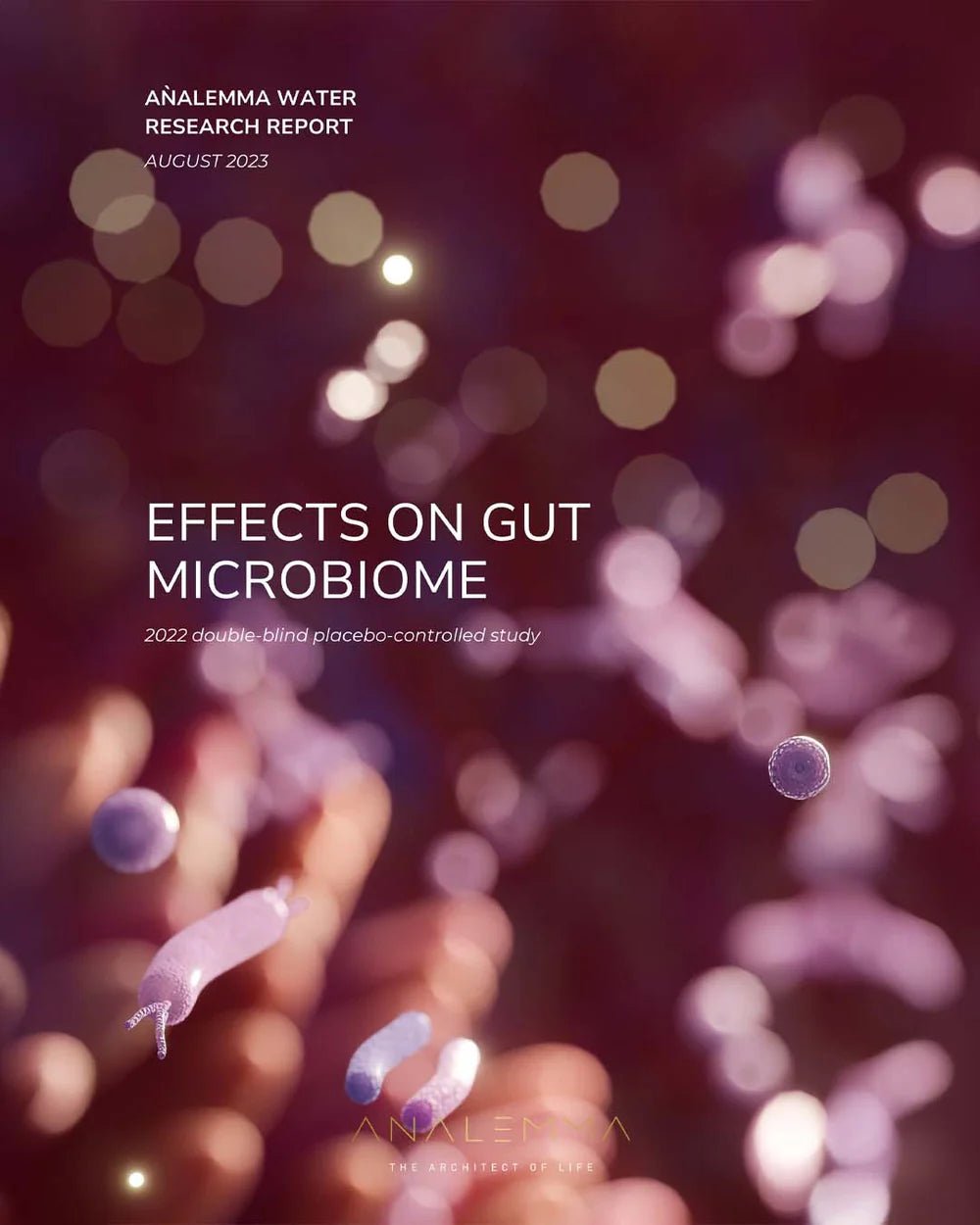 Analemma Water Bottle - Uno Vita AS