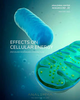 Analemma Water Bottle - Uno Vita AS