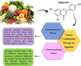 Apigenin - 50mg Optimal Dose (120 capsules) - Uno Vita AS