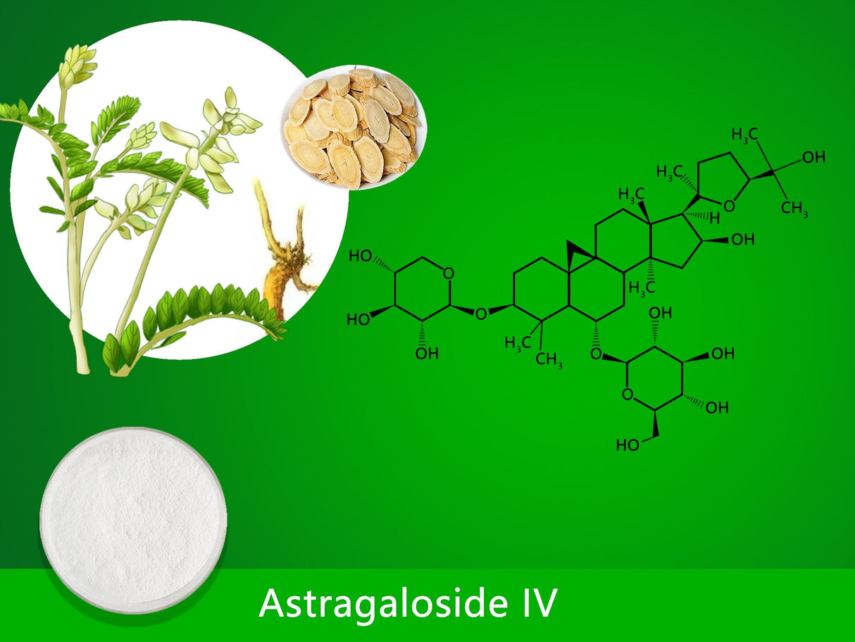 Astragaloside IV, 50mg - Uno Vita AS