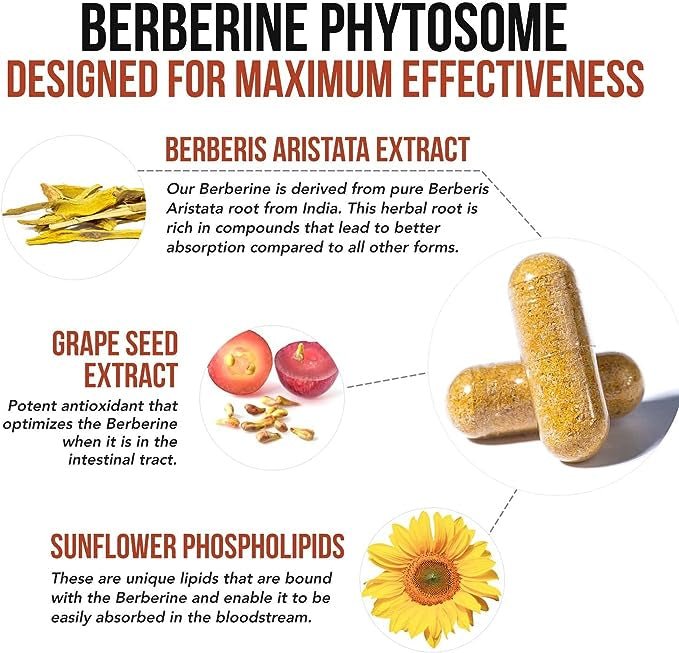 Berberine Phytosome (60 capsules) - Uno Vita AS