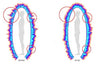 Bio-Well GDV Camera version 3.0 - Uno Vita AS