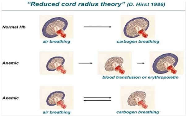 Carbogen inhaler (Co2 breathing) - Carbogenetics - Uno Vita AS