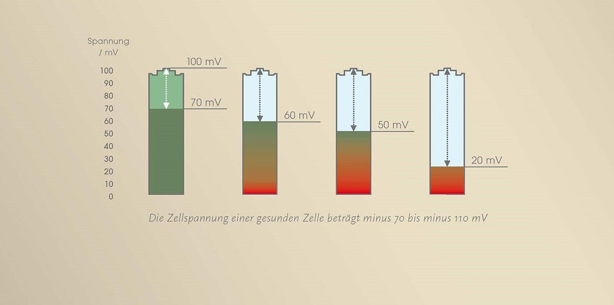 CellVital - Homecare PEMF therapy system - Uno Vita AS