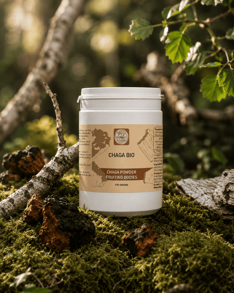 Chaga BIO (Organic) Powder - Uno Vita AS