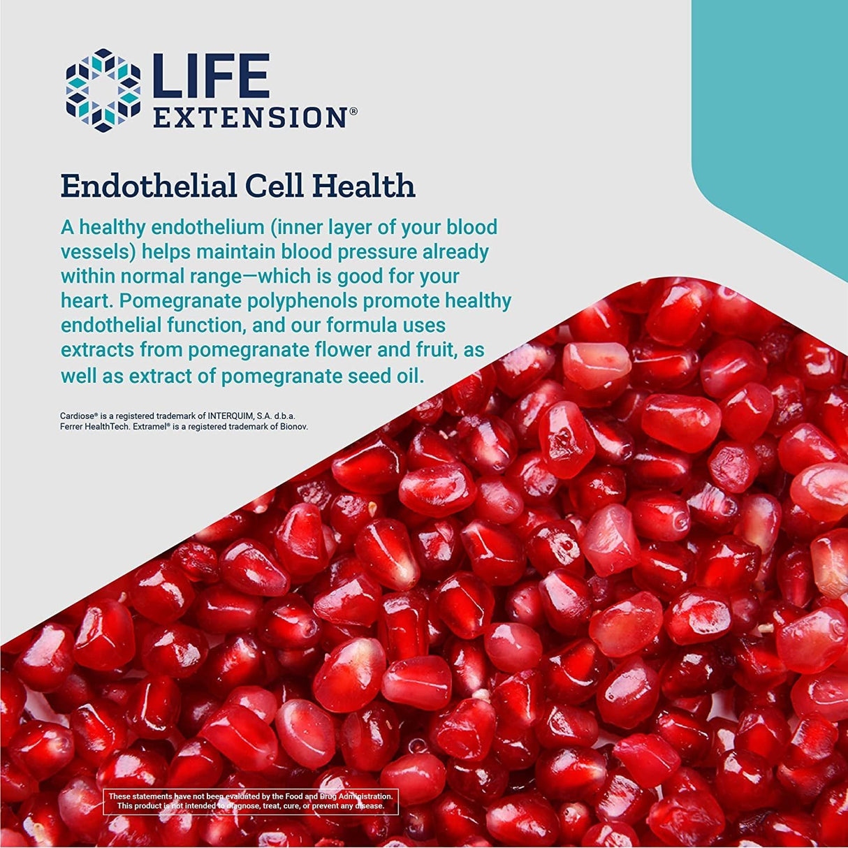 Endothelial Defense Pomegranate Plus (60) - Uno Vita AS