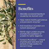 Enzymedica Betaine HCl (120) - Uno Vita AS