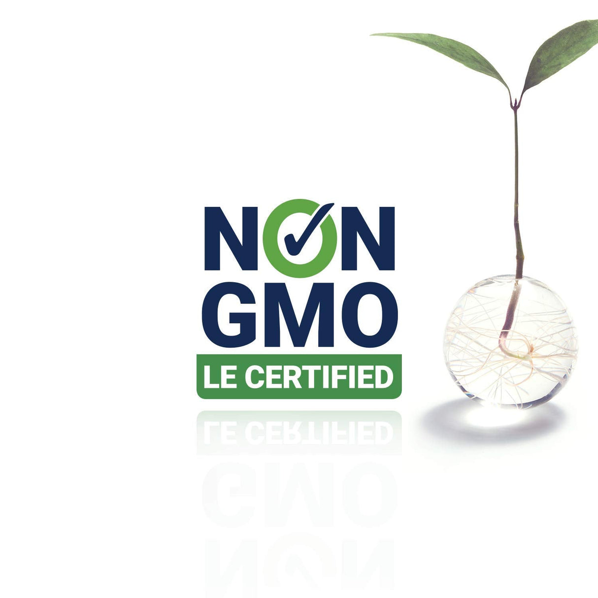 Schnell wirkendes flüssiges Melatonin Citrus – Vanille (59 ml) – Uno Vita AS