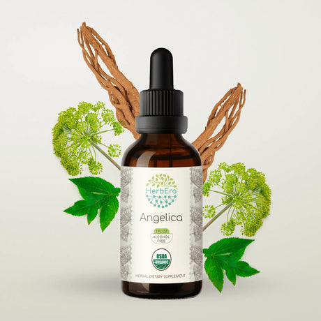 HerbEra Angelica Tincture - Uno Vita AS