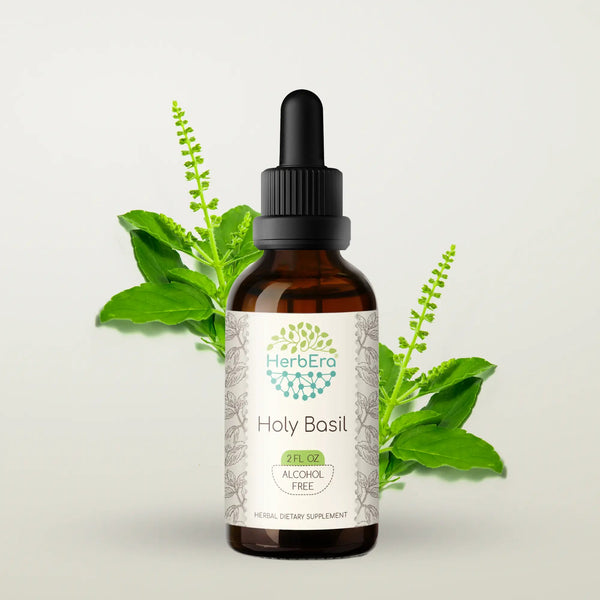 HerbEra Holy Basil Tincture - Uno Vita AS
