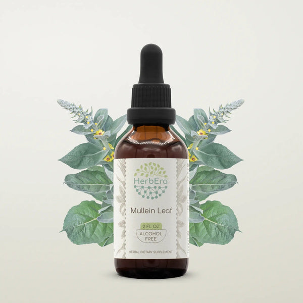 Teinture de feuilles de molène HerbErea - Uno Vita AS