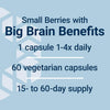 Life Extension Blueberry Extract Capsules - Uno Vita AS