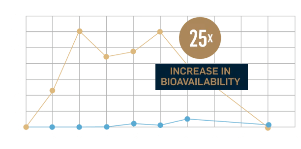 LipoTone™ – liposomal dietary supplement with DNF - 10® and choline - Uno Vita AS