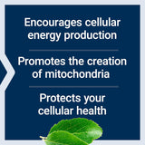 Mitokondriell energioptimerare med PQQ - Uno Vita AS
