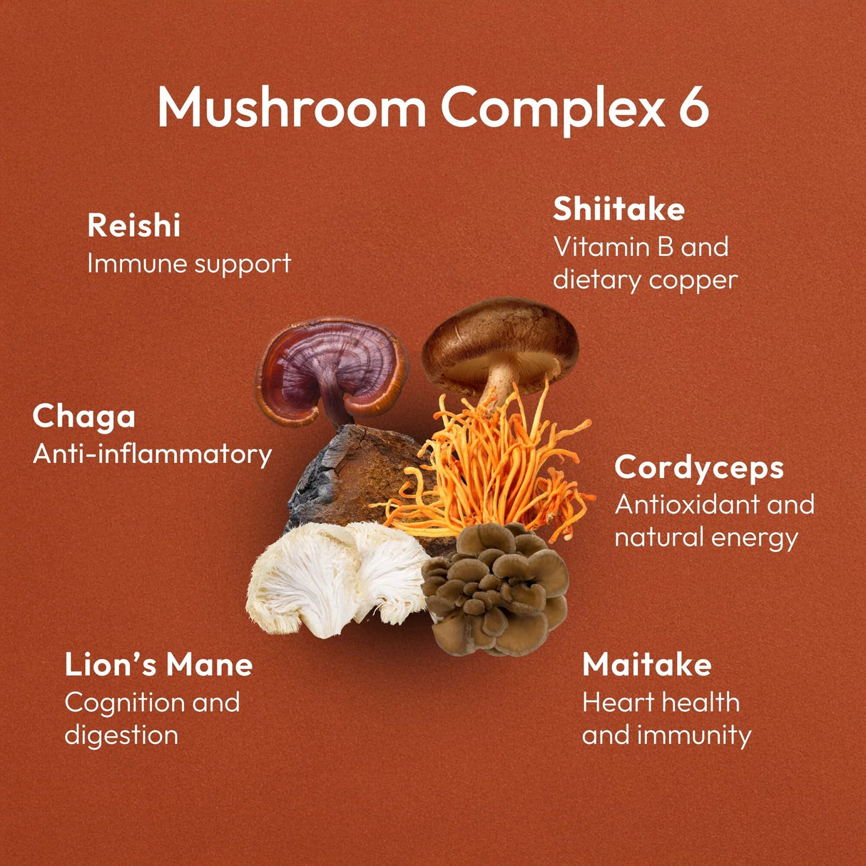 Mushroom Complex 6 med seks typer medisinske sopper, inkludert chaga, reishi, og lion's mane på en rød bakgrunn.