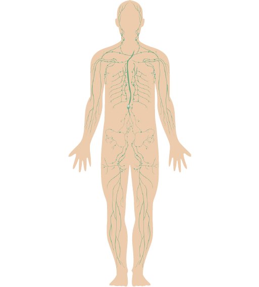 Mushroom Immune with Beta Glucans (30) - Uno Vita AS