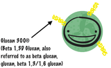 Pilzimmun mit Beta-Glucanen (30) – Uno Vita AS