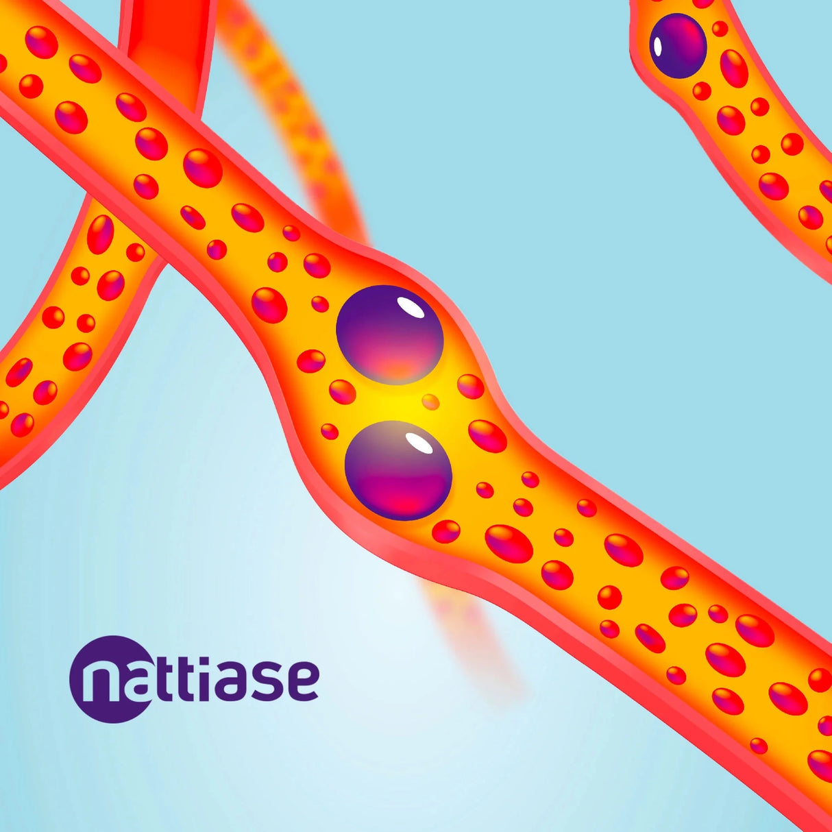 Gélules de Nattokinase (2000 FU - 100 mg) - Uno Vita AS